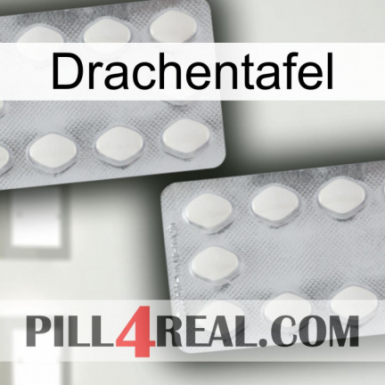 Dragon Tablet 17